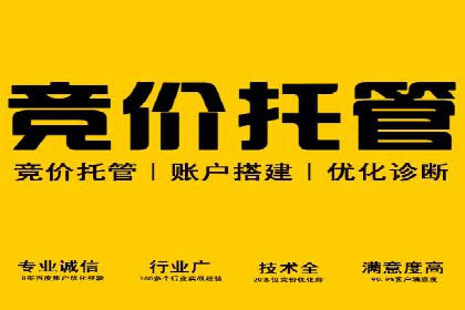 SEM优化策略案例分析